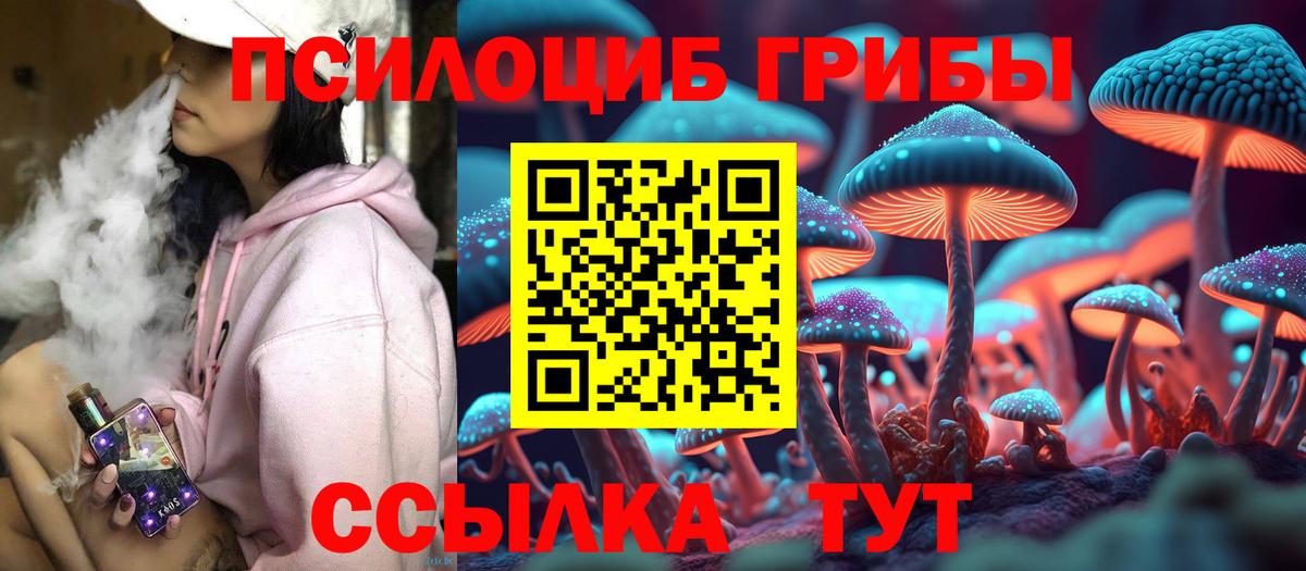 Псилоцибиновые грибы GOLDEN TEACHER Зеленодольск