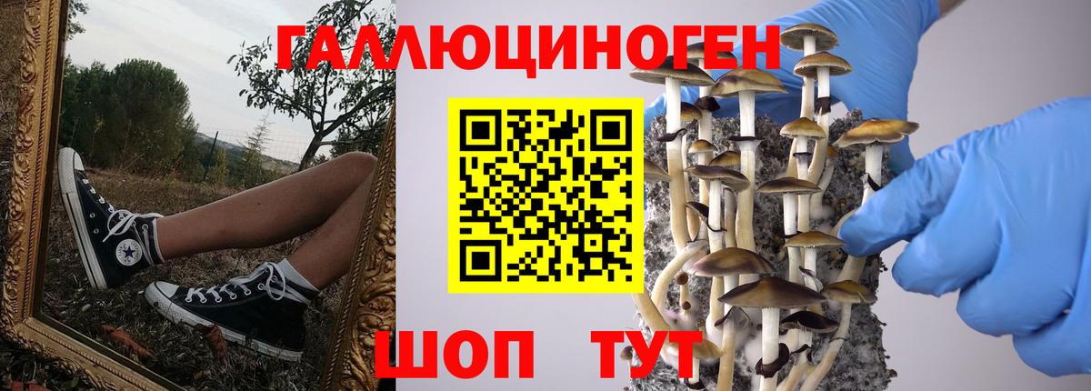 Галлюциногенные грибы GOLDEN TEACHER  Галлюциногенные грибы Cubensis  Зеленодольск  Вход с VPN 