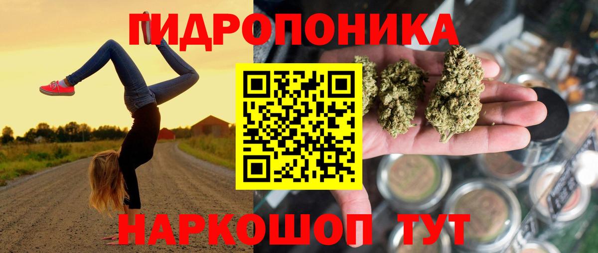 Канабис Bruce Banner  Марихуана ГИДРОПОН  Вход с VPN  Зеленодольск  Шишки марихуана Ganja 